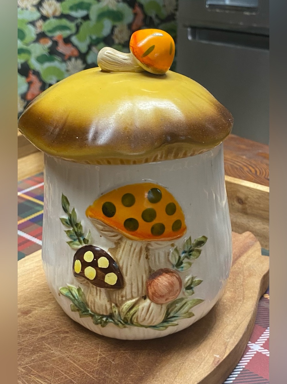 Vintage Merry Mushroom Sears 1978 Small Canister